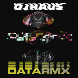 Data Remixes