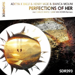 Perfections Of Her (Remixed)