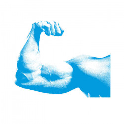  Muscle Up