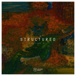Voltaire Music Pres. Structured, Vol. 5