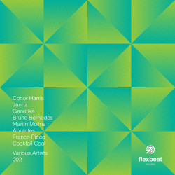 Flexbeat Records – Various Artists Vol. 2