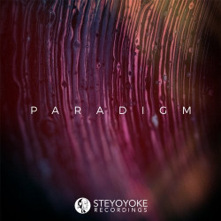Steyoyoke Paradigm, Vol. 08 
