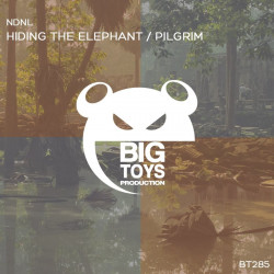 Hiding The Elephant / Pilgrim