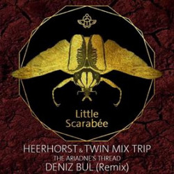 The Ariadne's Thread (Deniz Bull Rmx)