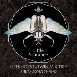 The Ariadne's Thread