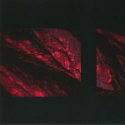 Shapeshifters EP