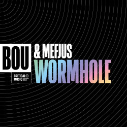 Wormhole