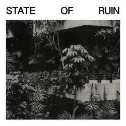 State Of Ruin