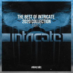 The Best of Intricate 2020 Collection Part 2