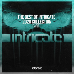 The Best of Intricate 2020 Collection Part 1