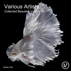 Collected Beauties Vol 4
