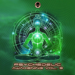 Psychedelic Awakening Vol. 3