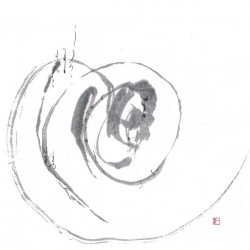 流転 陽 ・RUTEN +