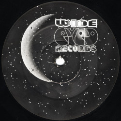 What Have You Done? / Dark Secrets [VINYL]