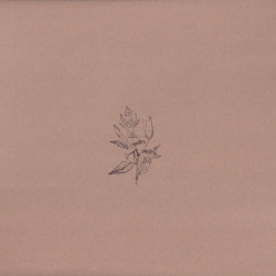 The FU EP