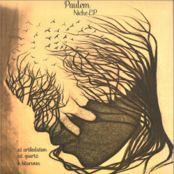 Niche EP