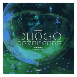 Disco Revengerz Vol 19 - Discoid House Selection