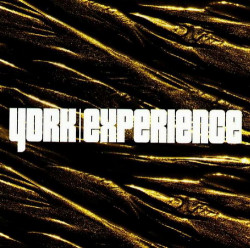 Experience