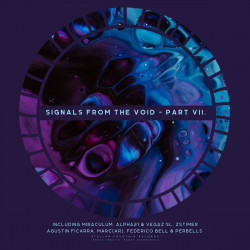 Signals From The Void VII.