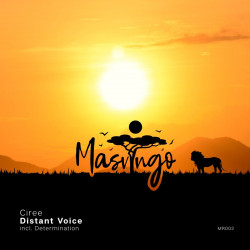 Distant Voice