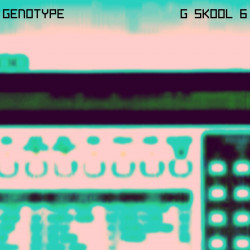 G Skool Vol. 6