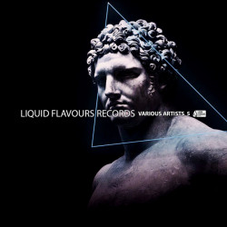 Liquid Flavours Records