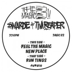 Run Tings / Feel The Magic / New Place