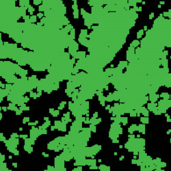 Bancha