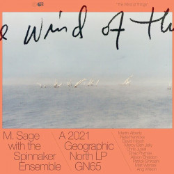 The Wind Of Things