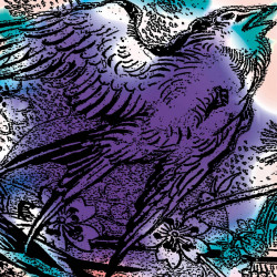 One Swallow Doesn’t Make A Summer Part. 3