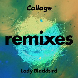 Collage (Remixes)