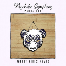 Psychotic Symphony (Woody Vibes Remix)