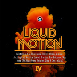 Liquid Motion IV