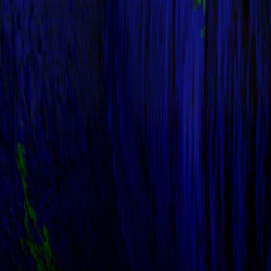 Beginner’s Mind Signal Funk
