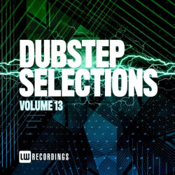 Dubstep Selections, (Vol. 13)