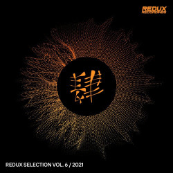 Redux Selection Vol 6 / 2021