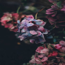 Time synthesis
