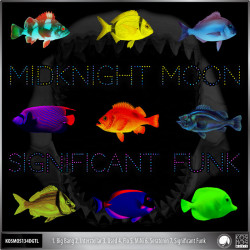 Significant Funk 