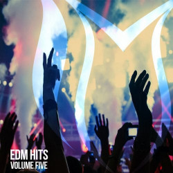 EDM Hits Vol 5