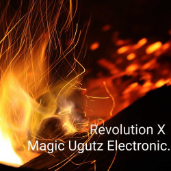 Revolution X