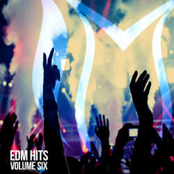 EDM Hits Vol 6