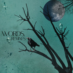 Words – Remixes