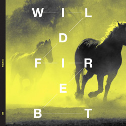 Wildfire