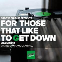 For Those That Like To Get Down Vol.1 (Compiled By Micky More & Andy Tee)
