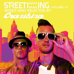 Street King Vol 10 