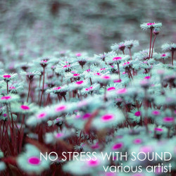 No Stress With Sound