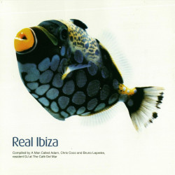 Real Ibiza Volume 1 [2 CD Compilation]