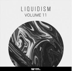 Liquidism Vol. 11