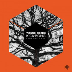 Strange Days (Vøsne Remix)