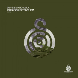 Introspective EP